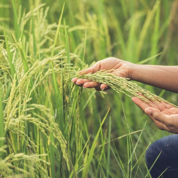 5cdc3b4af3a70797802f1ad0d348a22082ef20b4